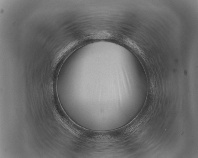 X0000073890535200609011655