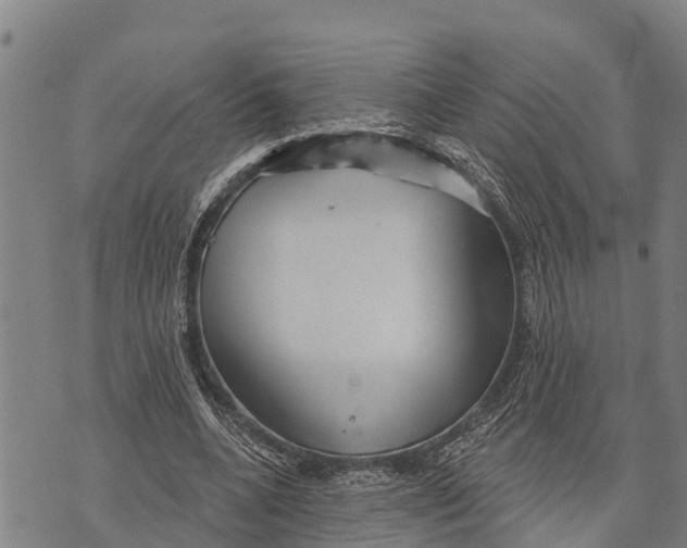 X0000073890536200609011655