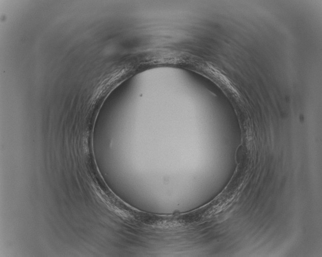 X0000073890537200609011655