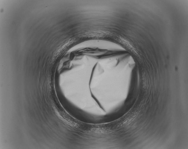 X0000073890538200609011655