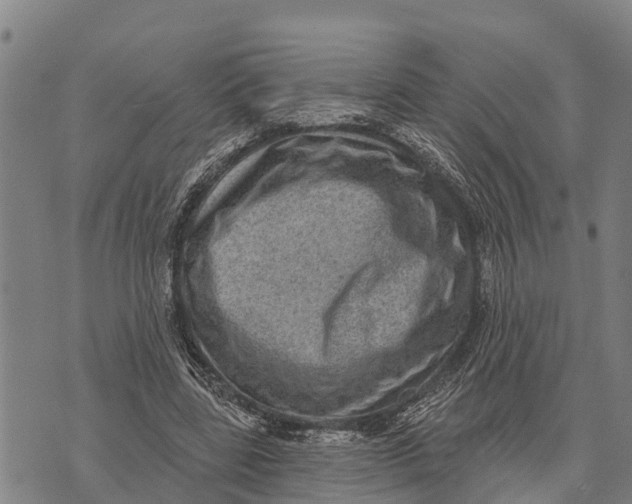 X0000073890539200609011655