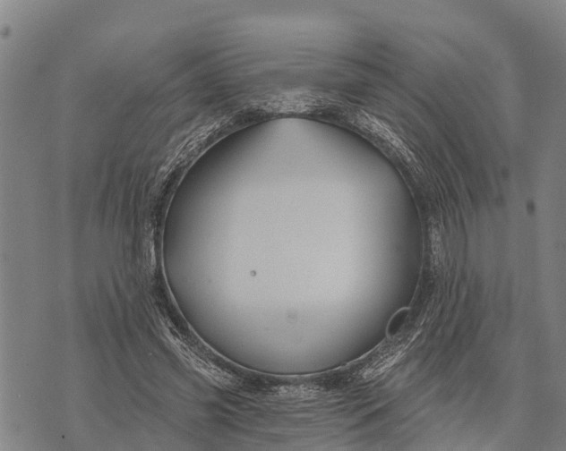 X0000073890541200609011655