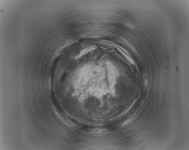 X0000073890542200609011656