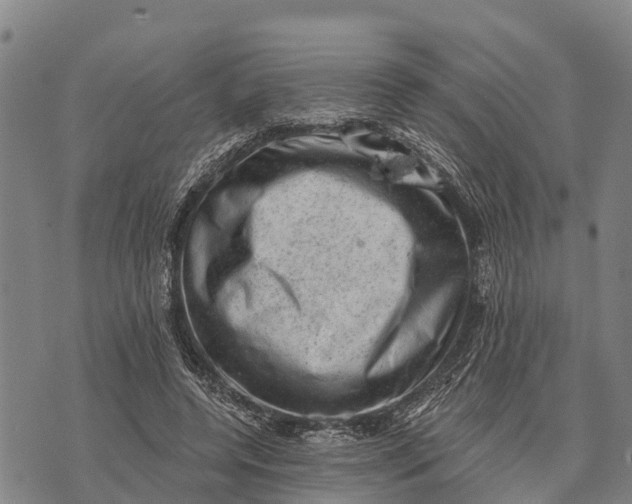 X0000073890544200609011656