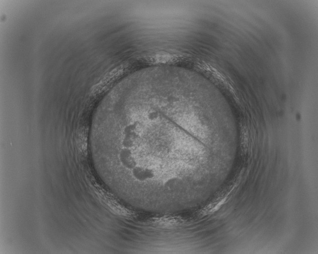 X0000073890545200609011656