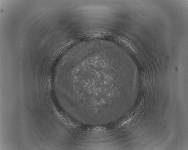 X0000073890546200609011656