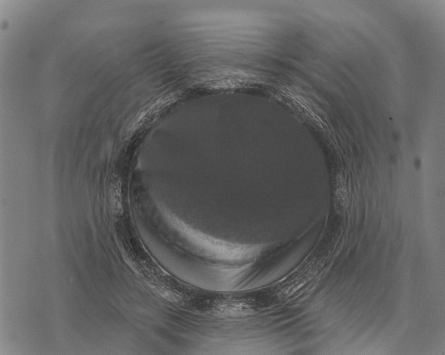 X0000073890547200609011656