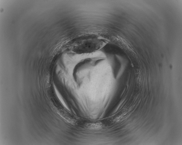 X0000073890548200609011656