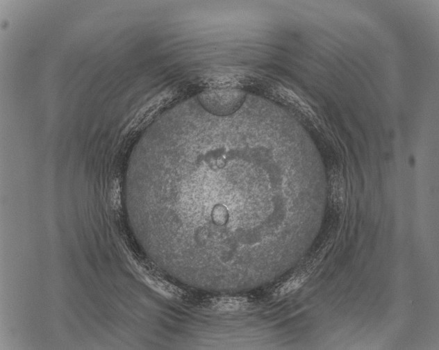 X0000073890549200609011656