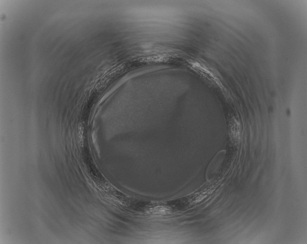 X0000073890551200609011656