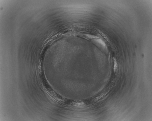 X0000073890552200609011656