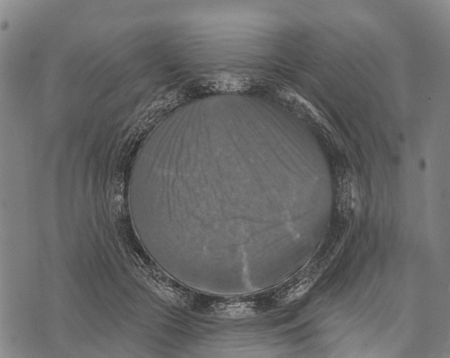 X0000073890553200609011656