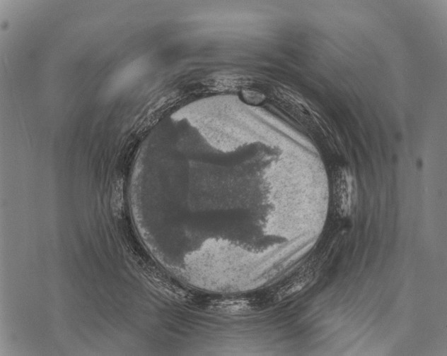 X0000073890554200609011656