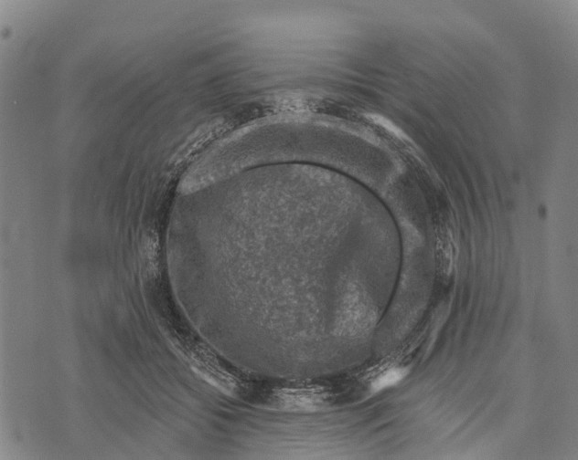 X0000073890556200609011656