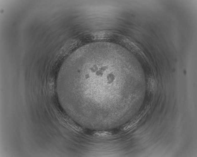 X0000073890557200609011656