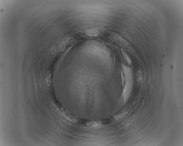 X0000073890559200609011656