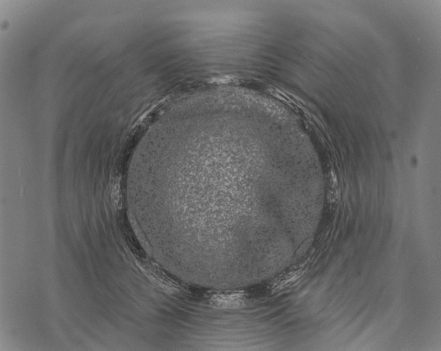 X0000073890560200609011656