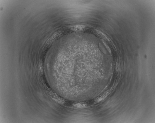 X0000073890561200609011656