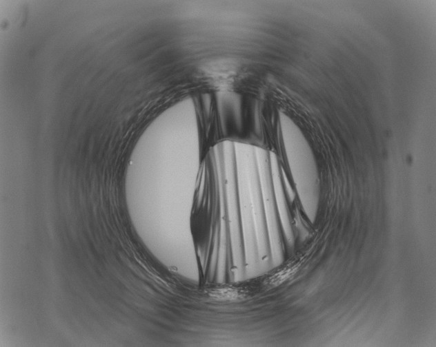 X0000073890562200609011656