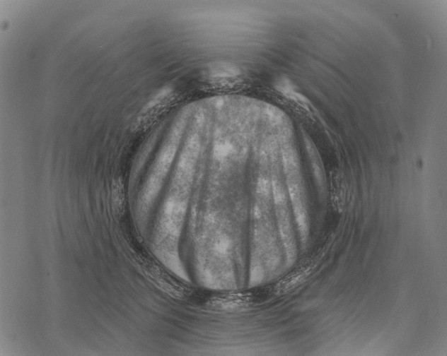 X0000073890563200609011656