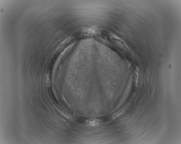 X0000073890564200609011656