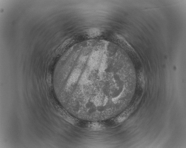 X0000073890565200609011656