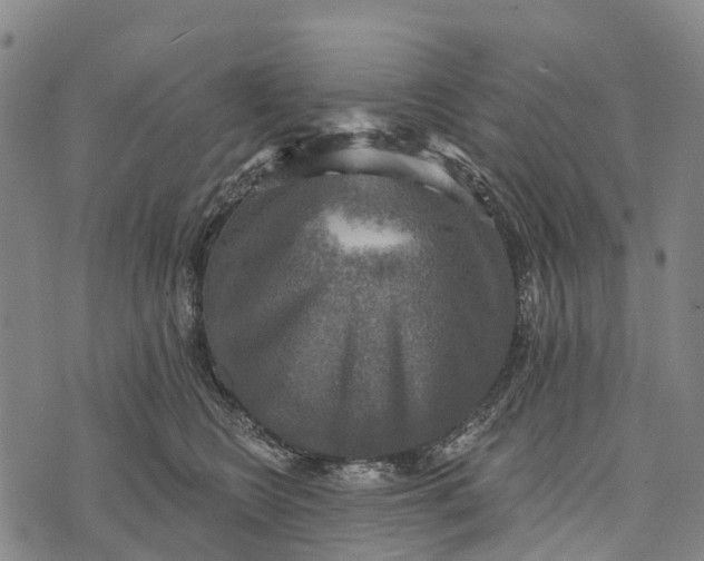 X0000073890566200609011656