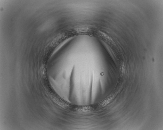 X0000073890567200609011656