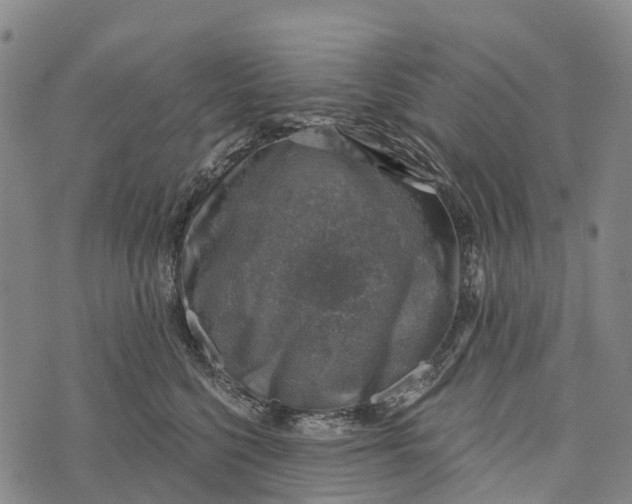 X0000073890568200609011656