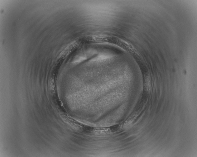 X0000073890571200609011656