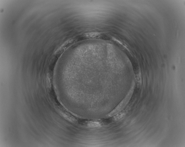 X0000073890572200609011656