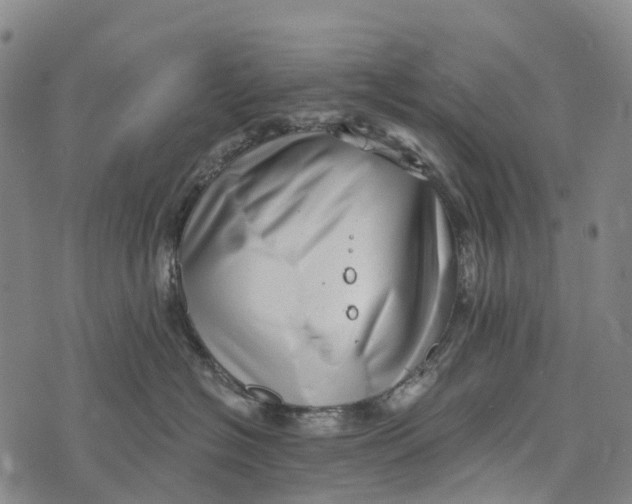 X0000073890574200609011656