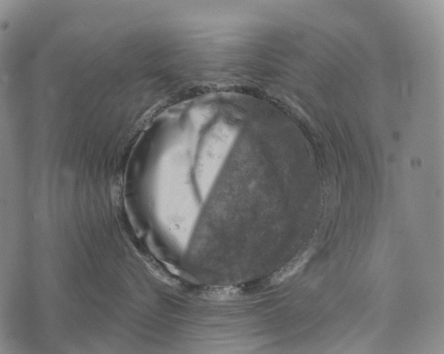 X0000073890576200609011656