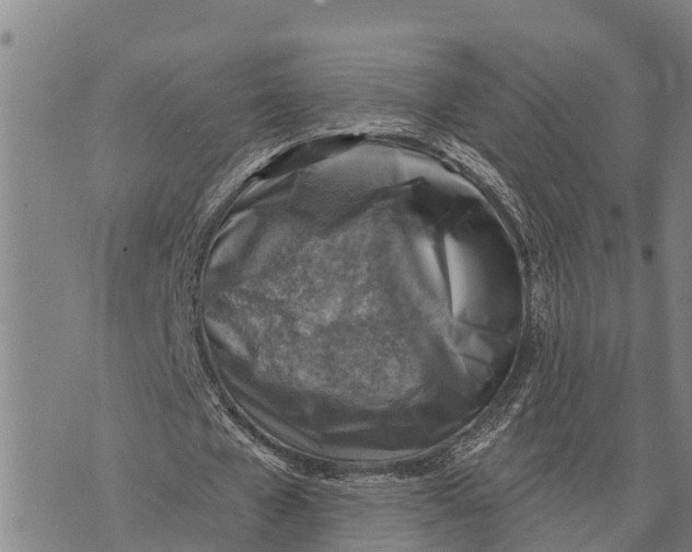 X0000073890577200609011655