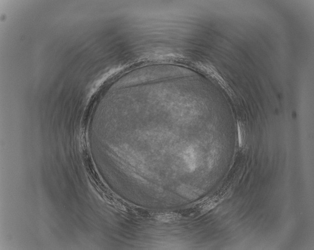 X0000073890579200609011655