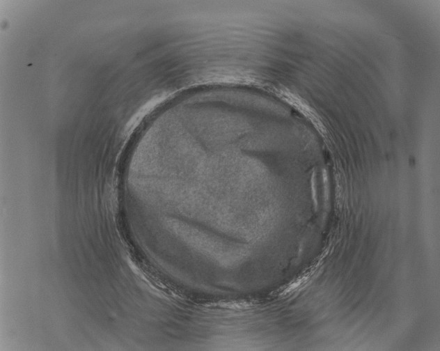 X0000073890580200609011655