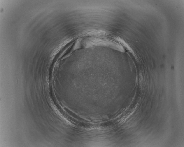 X0000073890581200609011655