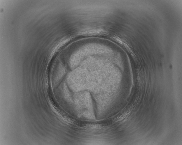 X0000073890582200609011655