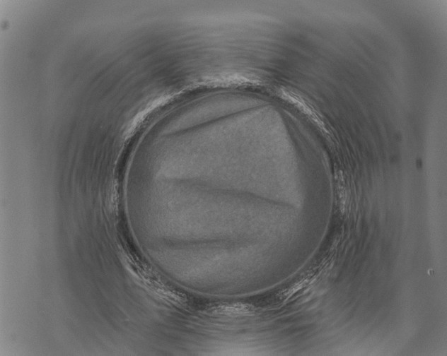 X0000073890583200609011655