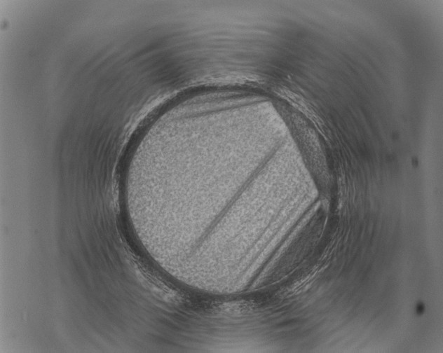 X0000073890584200609011655