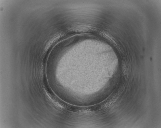 X0000073890586200609011655