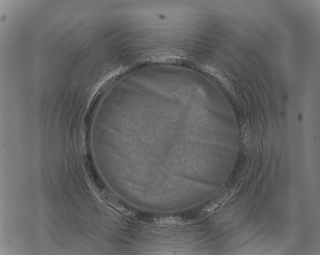 X0000073890587200609011655