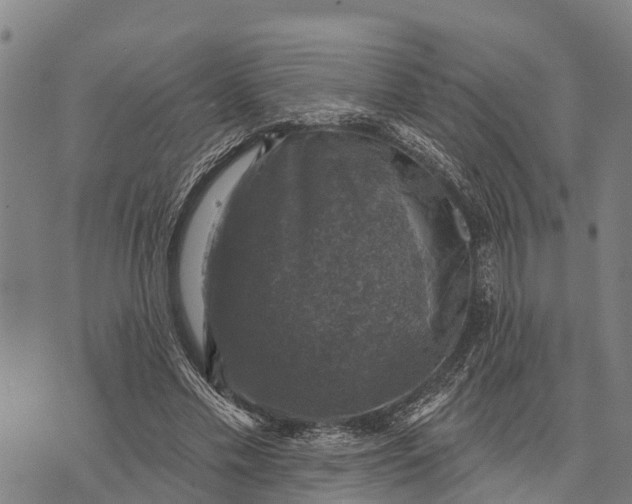 X0000073890589200609011655