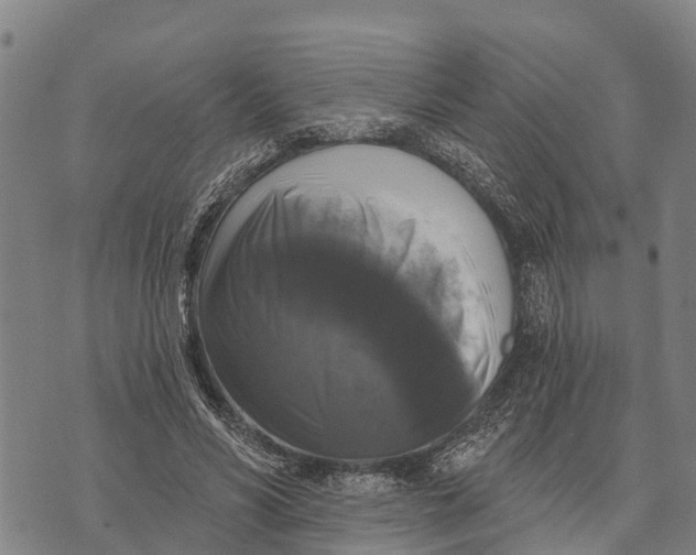 X0000073890590200609011655