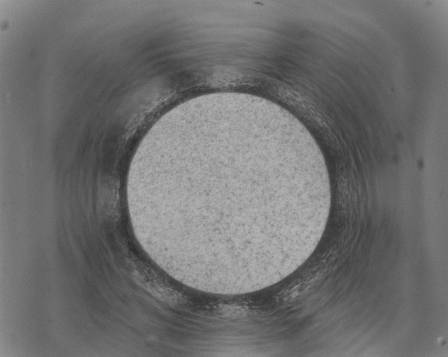 X0000073890592200609011655