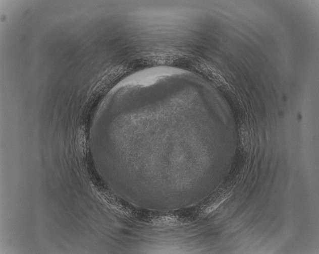 X0000073890594200609011655