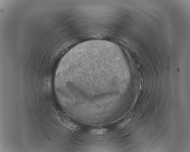 X0000073890595200609011655