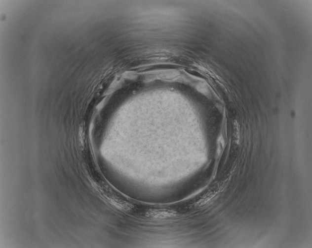 X0000073890597200609011655