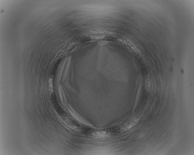 X0000073890598200609011655