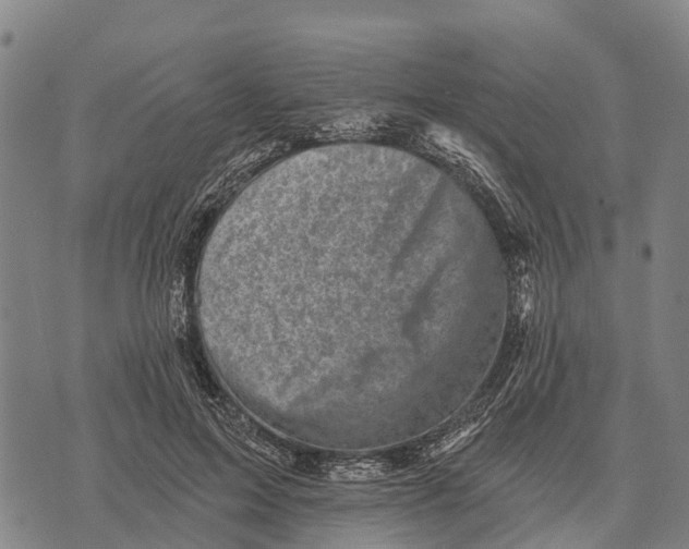 X0000073890599200609011655